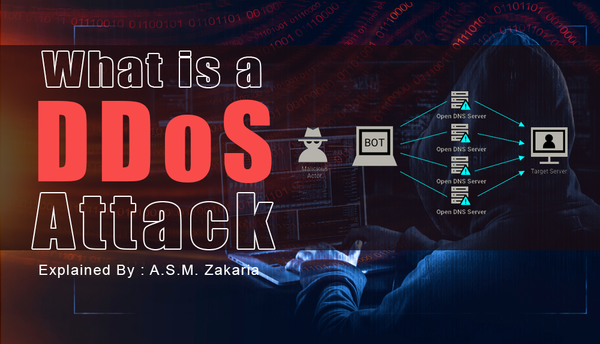 Common Types of DDoS Attacks & Protections